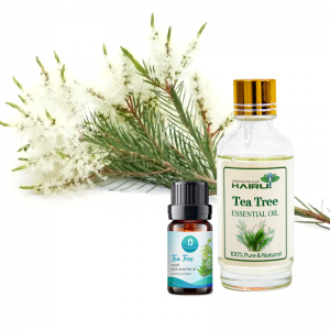 Wholesale Cosmetic Tea Tree Essential Oil Acne Anti-bacterial Agent Tea Tree Oil