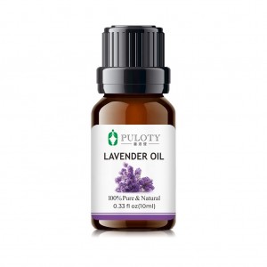 Lavender Oil for Aromatherapy and Massage
