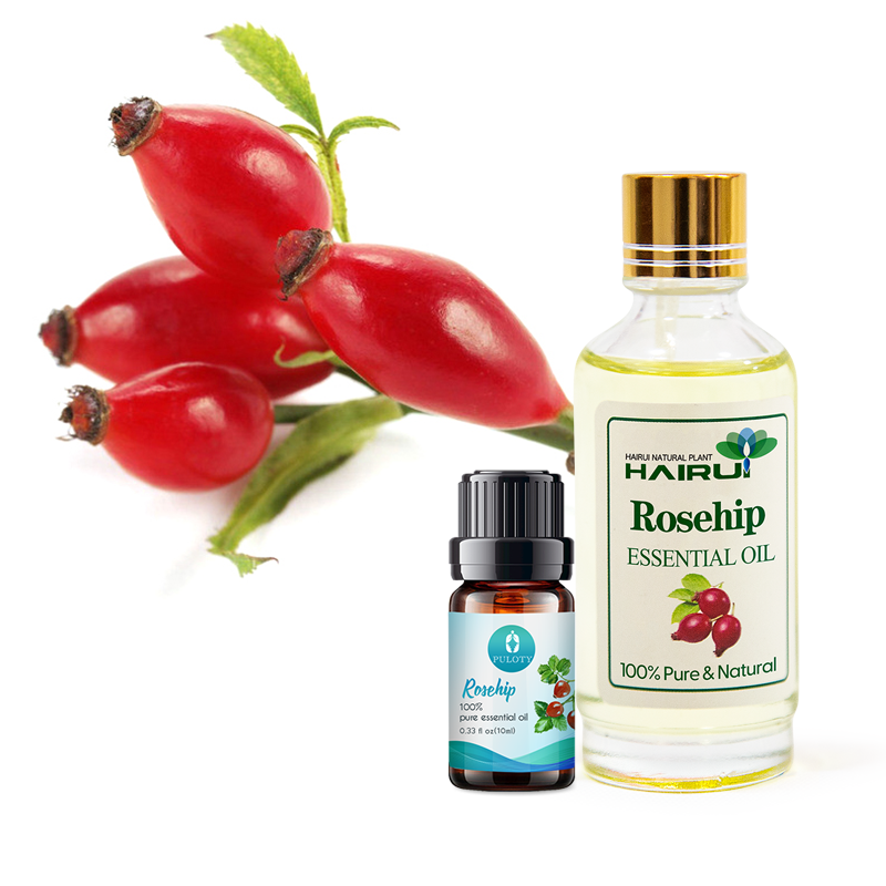 Cosmetic Raw Material Rosehip Oil Featured Image