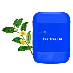 Herbal Extraction Tea Tree Essential Oil