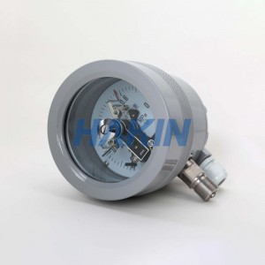 100mm Explosion-Proof Electric Contact Pressure Gauge