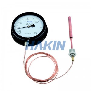 Pressure Thermometer with Capillary Tube