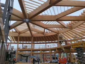 Trarët e drurit të ndërtimit Trare tavani Glulam prej druri të vërtetë