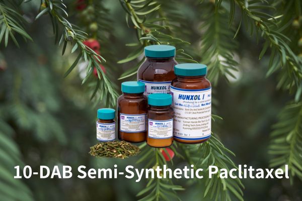 Factory Supply High Quality 10-DAB Semi-synthetic Paclitaxel