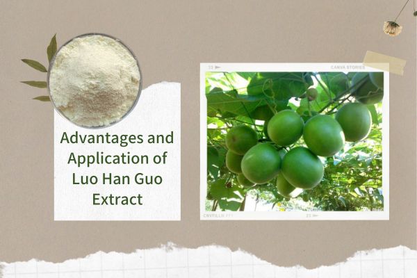 Advantages and Application of Luo Han Guo Extract