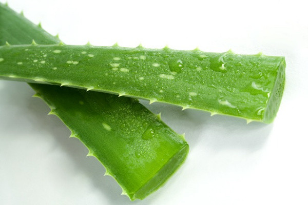 Do you know the function of aloe emodin?