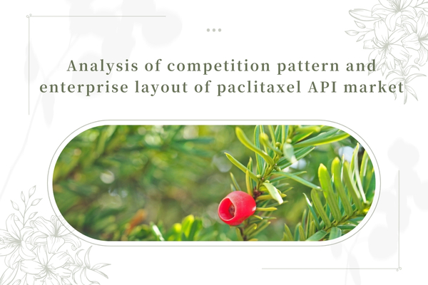 Analysis of competition pattern and enterprise layout of paclitaxel API market