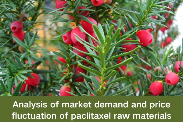Analysis of market demand and price fluctuation of paclitaxel raw materials