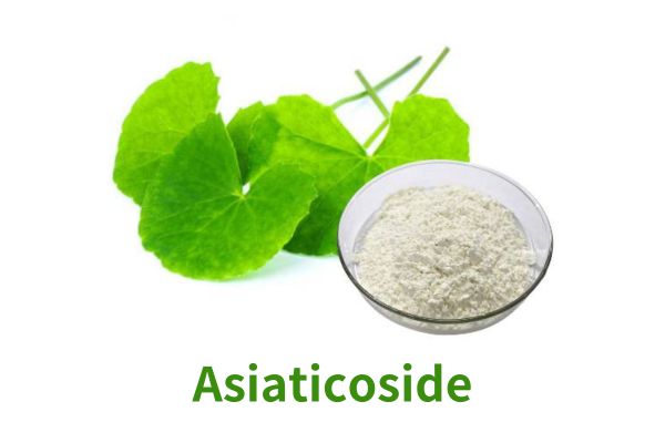 Manufacturer Supply Asiaticoside CAS 16830-15-2
