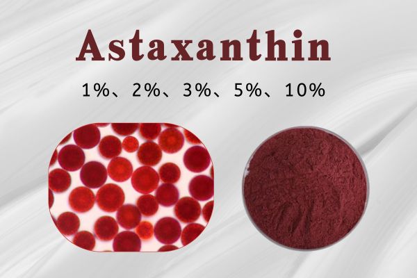 Natural Astaxanthin 1% 2% 3% 5% 10% Astaxanthin Powder Haematococcus Pluvialis Extract