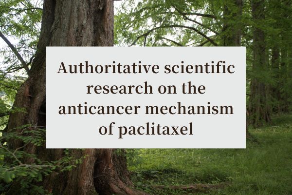 Authoritative scientific research on the anticancer mechanism of paclitaxel