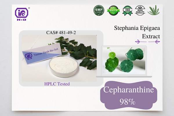 Stephania Japonica Extract 98% Cepharanthine CAS 481-49-2 for Anti Tumor