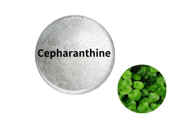 Factory Supply Pharmaceutical Grade Cepharanthine Powder Stephania Root Extract