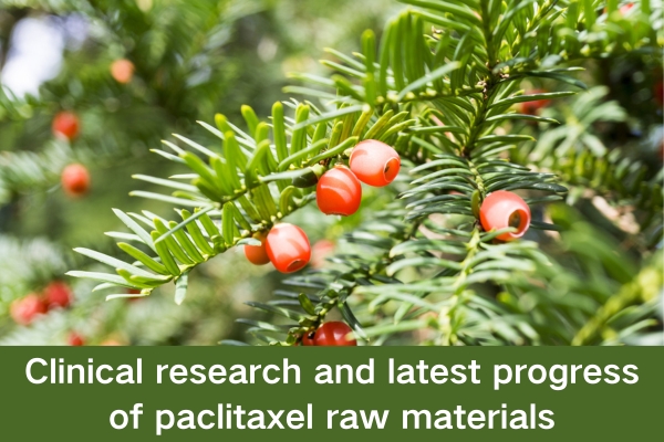 Clinical research and latest progress of paclitaxel raw materials