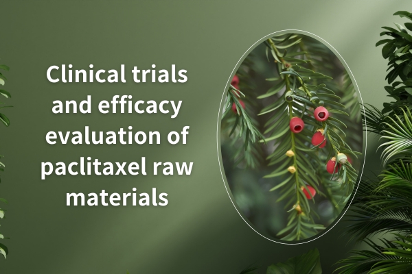 Clinical trials and efficacy evaluation of paclitaxel raw materials