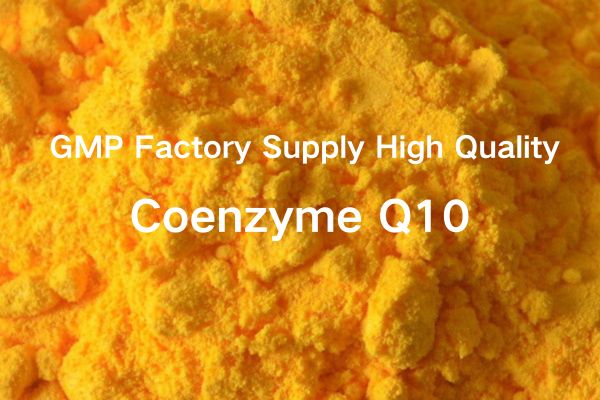 GMP Factory Supply High Quality Coenzyme Q10