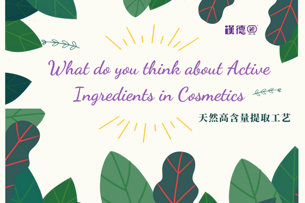 What do you think about Active Ingredients in Cosmetics?
