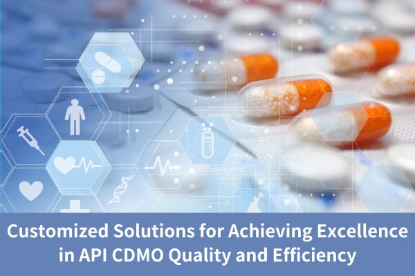 Customized Solutions for Achieving Excellence in API CDMO Quality and Efficiency