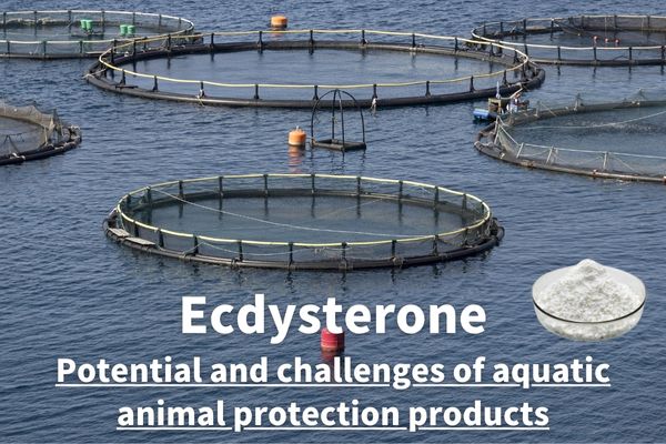 Ecdysterone:Potential and challenges of aquatic animal protection products