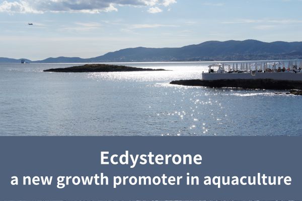 Ecdysterone:a new growth promoter in aquaculture