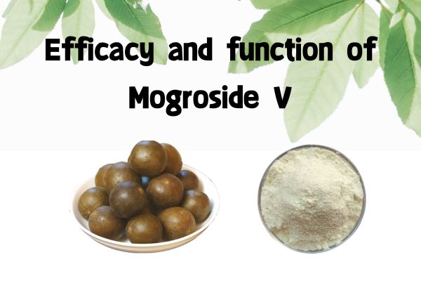 Efficacy and function of Mogroside Ⅴ