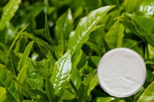 Reliable Supplier 98%Nuciferine - Epicatechin gallate ECG 98% CAS 1257-08-5 Green Tea Extract –  Hande