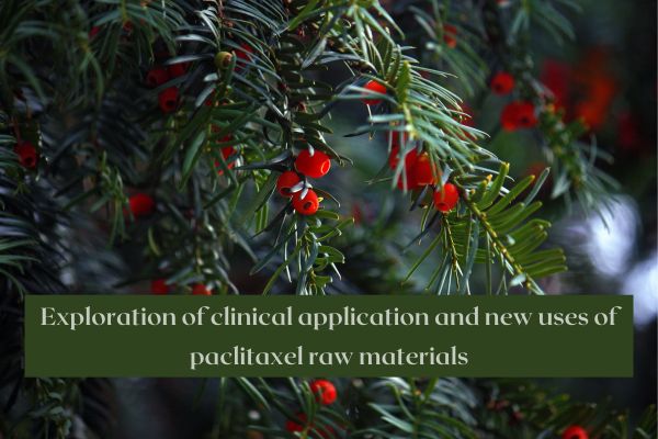 Exploration of clinical application and new uses of paclitaxel raw materials