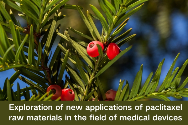 Exploration of new applications of paclitaxel raw materials in the field of medical devices