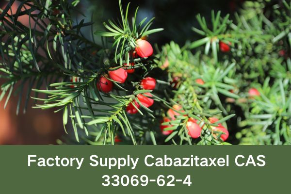 Factory Supply Cabazitaxel CAS 33069-62-4