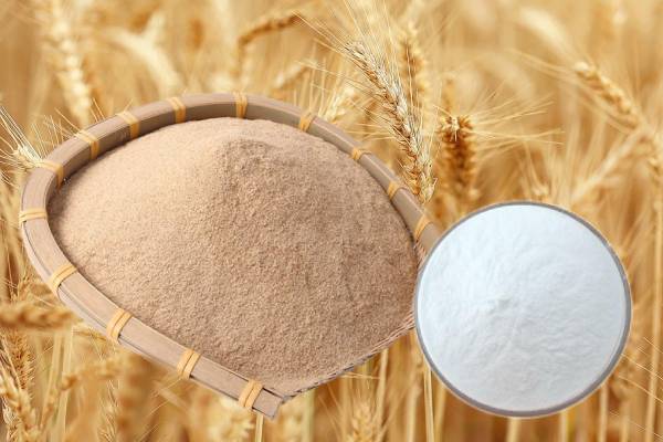 Ferulic acid 98% CAS 1135-24-6 Rice bran extract Natural cosmetic grade raw materials