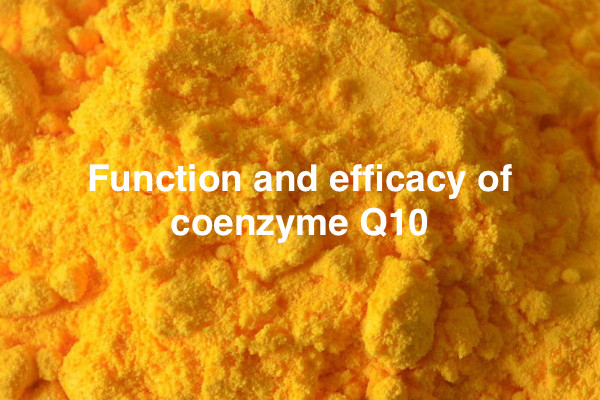 Function and efficacy of coenzyme Q10