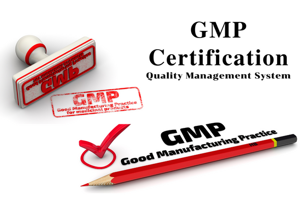 GMP Certification and GMP Management System