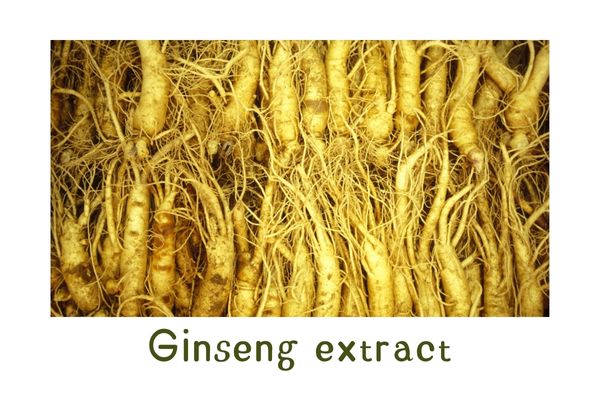 Top Qulaity High Purity Natural Ginseng Extract Powder Plant Extract