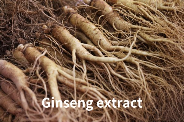 Ginseng Extract Panax ginseng Root Extract Panax Ginseng Extract