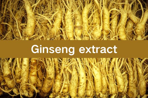 High Quality  Ginseng Extract