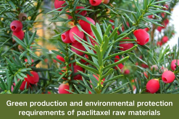 Green production and environmental protection requirements of paclitaxel raw materials