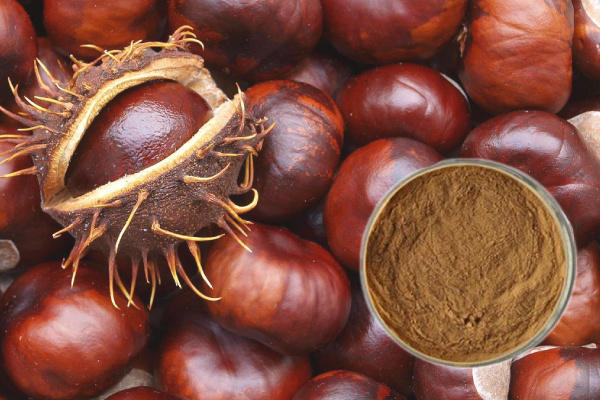 Horse chestnut extract aescin 20% – 40% pharmaceutical raw materials