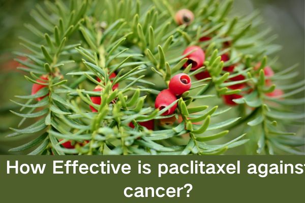 How Effective is paclitaxel against cancer?