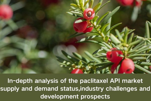In-depth analysis of the paclitaxel API market:supply and demand status,industry challenges and development prospects