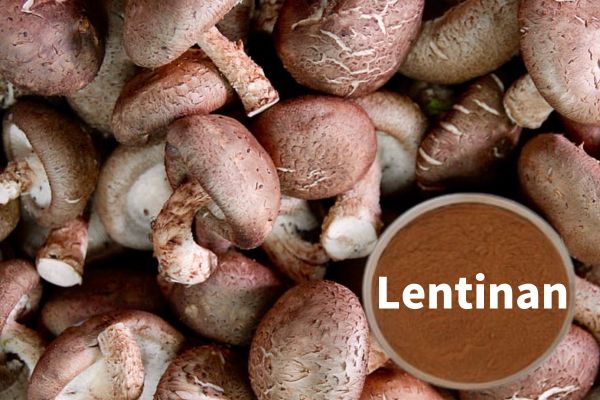 What is Lentinan?