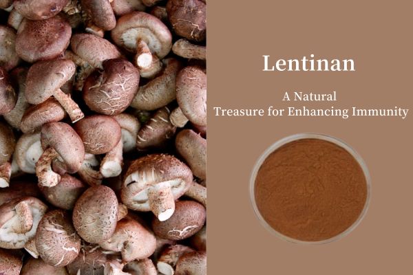 Lentinan:A Natural Treasure for Enhancing Immunity