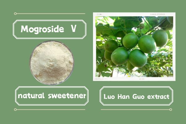 Luo Han Guo extract Mogroside Ⅴ natural sweetener