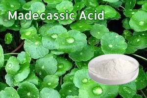 18 Years Factory Grape Seed Extract OPC 95 - Madecassic Acid Powder 95% CAS 18449-41-7 Centella Asiatica Extract –  Hande