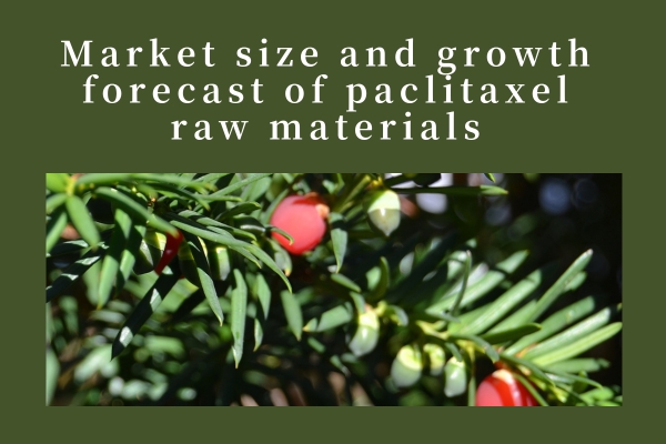 Market size and growth forecast of paclitaxel raw materials