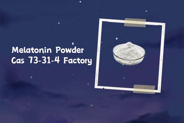 Melatonin Powder Cas 73-31-4 Factory