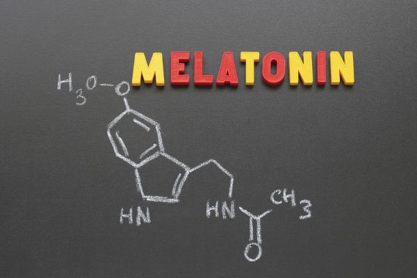 High Quality 99% Melatonin Powder CAS 73-31-4 Melatonin Used in Healthcare Products
