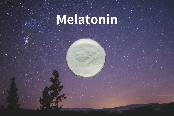 High Quality Factory Supply Melatonin Powder for Improving Sleep