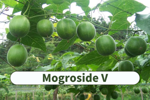 Mogroside V natural sweetener