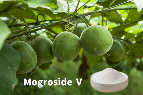 Mogroside Ⅴ natural sweetener for health