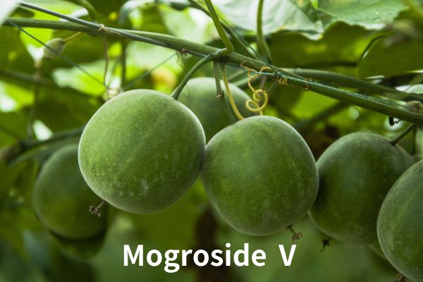 Natural Sweetner  Mogroside Ⅴ